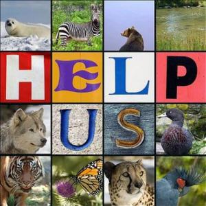 endangered animals
