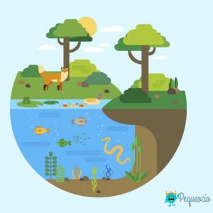 Trivia TIPOS DE ECOSISTEMAS