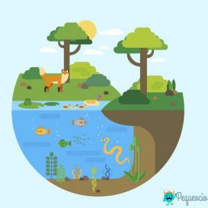 Tipos de Ecosistemas