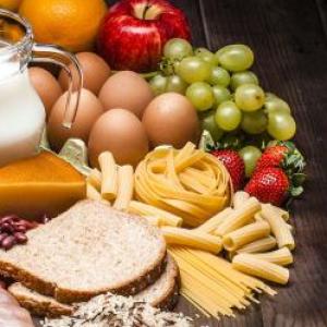LOS ALIMENTOS