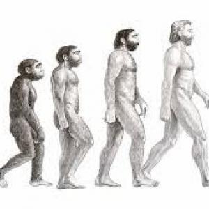 Evolución cultural del hombre