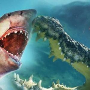 ¿Qué hay debajo del mar? Juego trivia 