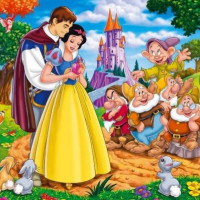 Snow white memory cards,