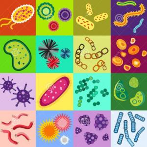 Microgame