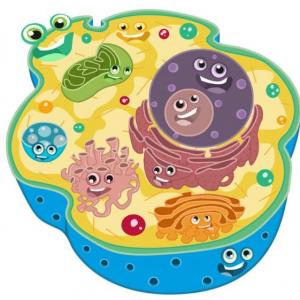 El asombroso mundo de la célula