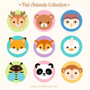 Identifica los animales iguales
