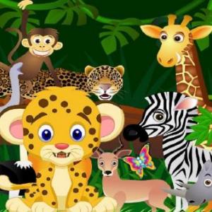 Animales Salvajes