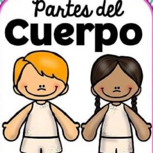MEMORIA PARTES DEL CUERPO