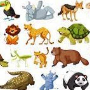 JUGUEMOS CON LOS ANIMALES