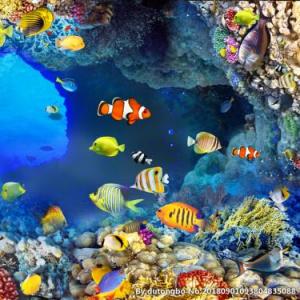 Animales marinos