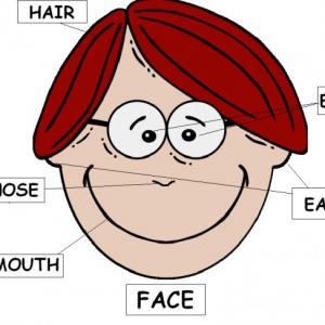 Imagen de portada del videojuego educativo: PARTS OF THE FACE, de la temática Idiomas