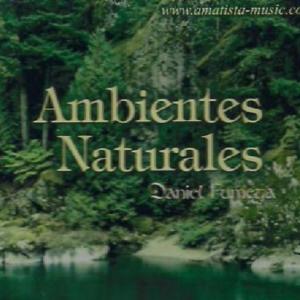 Los ambientes