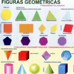 Cuerpos y Figuras