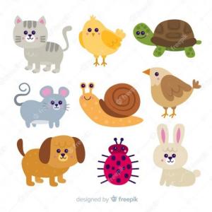 Cartas de los increíbles animales!