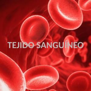 TEJIDO SANGUÍNEO Y HEMATOPOYESIS
