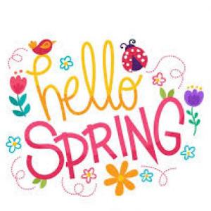 Portada del juego SPRING – Idiomas