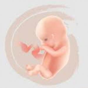 EMBRAZO ECTÓPICO Y PLACENTA PREVIA