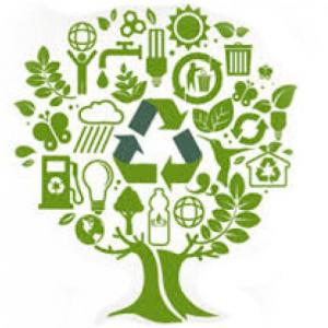 el mundo del cuidado ambiental