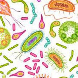 BIOLOGIA 