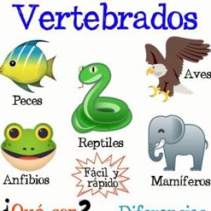 Memoria de animales vertebrados