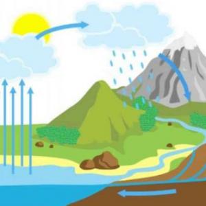 cico del agua