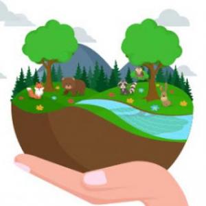 Imagen de portada del videojuego educativo: Trivia de preguntas sobre acciones que dañan el medio ambiente, de la temática Ciencias