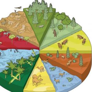 Animales y Hábitats