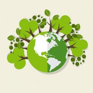 LA CIUDAD DE GINEBRA Y SU ECOLOGIA