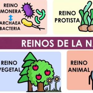 El preguntón