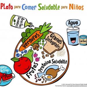 Alimentos saludables