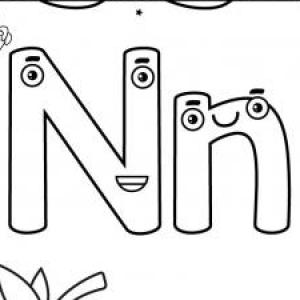 Palabras con N-n