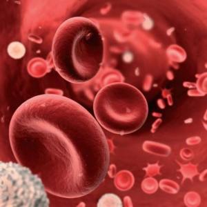 "Blood Tissue"