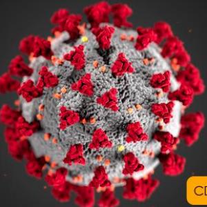 que es el coronavirus