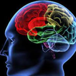 NEUROMARKETING