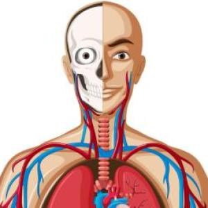 Portada del juego El Cuerpo Humano – Biología