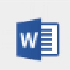 MS word