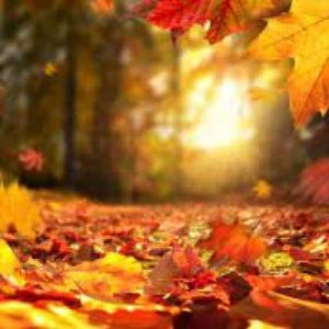 vestuario y accesorios de otoño