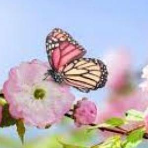 vestuarios y accesorios de primavera