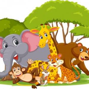 Conociendo los animales