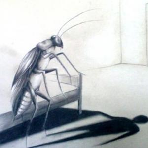 Trivia La metamorfosis