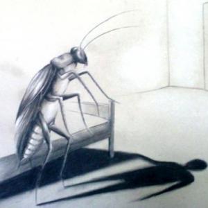 LA METAMORFOSIS