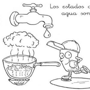TRIVIAS- LOS ESTADOS DEL AGUA