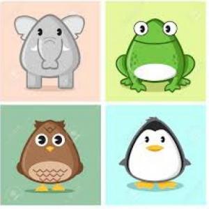 Ciclo de vida de los animales