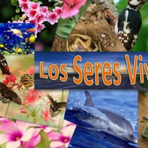 El mundo de los seres vivos