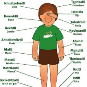 TOTLAKAYOTL