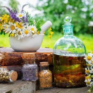 Plantas de uso medicinal