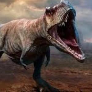 preguntas de dinosaurios + mata mata
