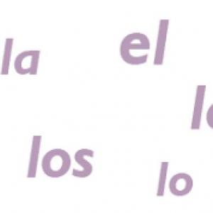 Juego del artículo 