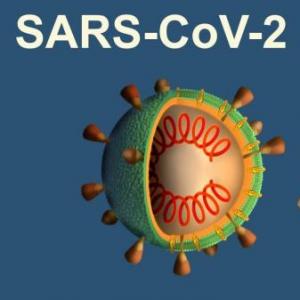 Imagen de portada del videojuego educativo: Cosas del Covid 19/Coronavirus/SARS-CoV-2, de la temática Actualidad