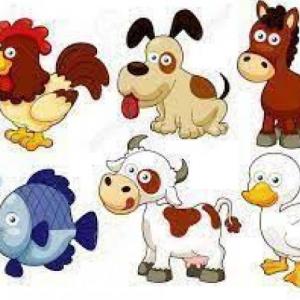 ANIMALES VERTEBRADOS E INVERTEBRADOS